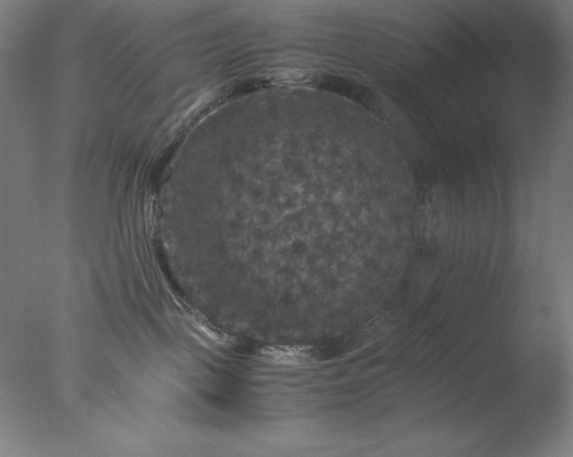 X0000077290093200610271535