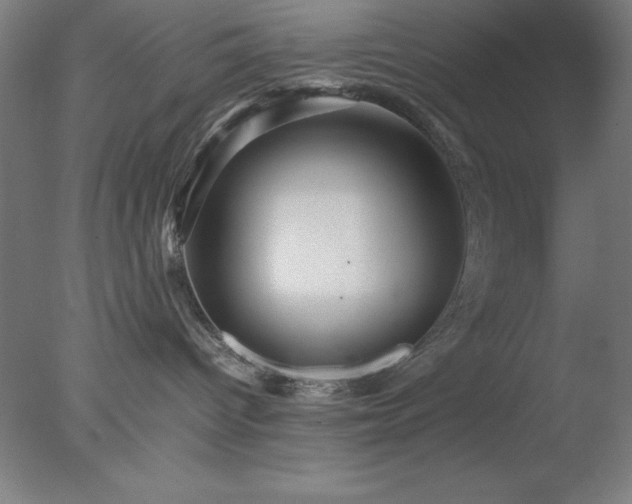 X0000077290096200610271535