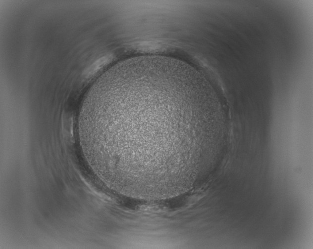 X0000077290115200610271534