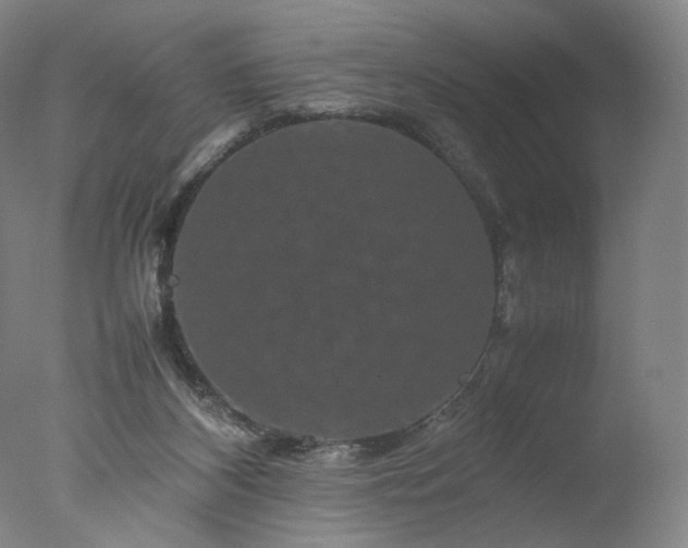 X0000077290116200610271534