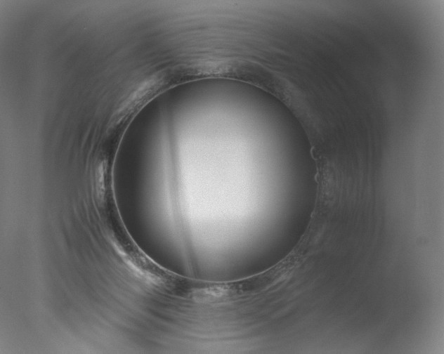 X0000077290118200610271534