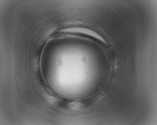 X0000077290119200610271534