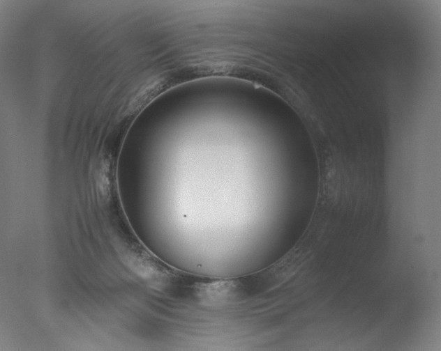 X0000077290122200610271534