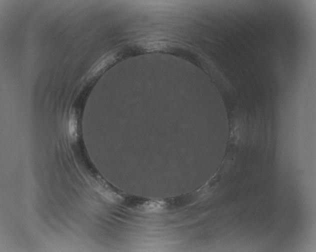 X0000077290124200610271534