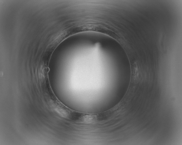 X0000077290126200610271534
