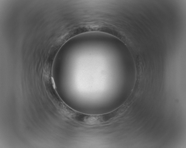 X0000077290129200610271534