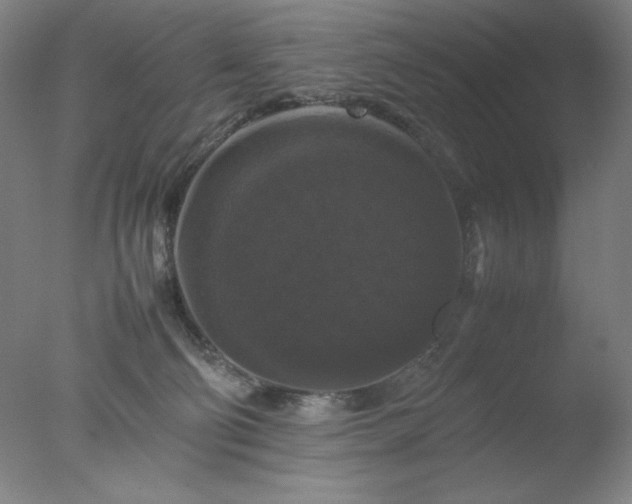 X0000077290130200610271534