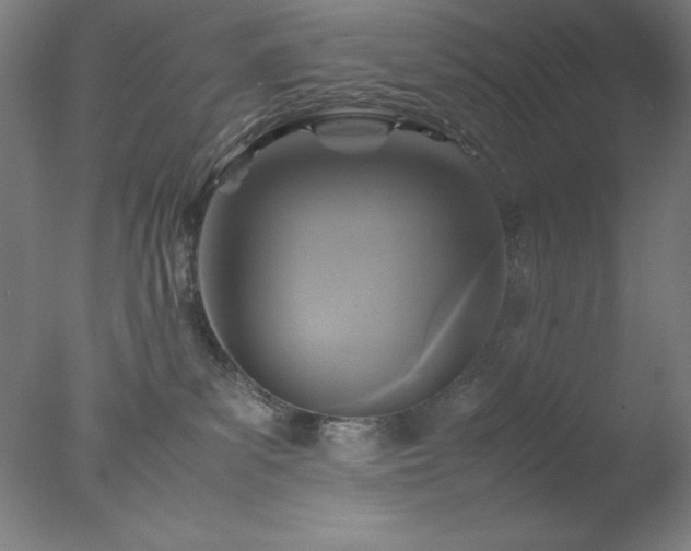 X0000077290139200610271534