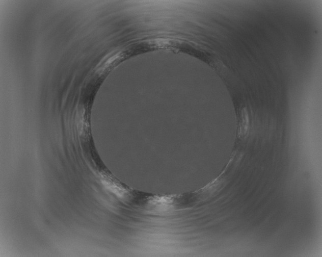X0000077290140200610271534