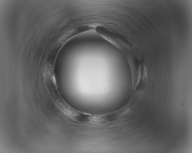 X0000077290141200610271534
