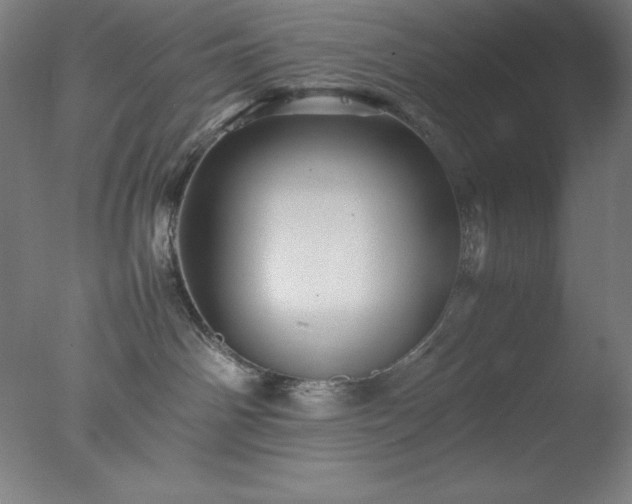 X0000077290142200610271534