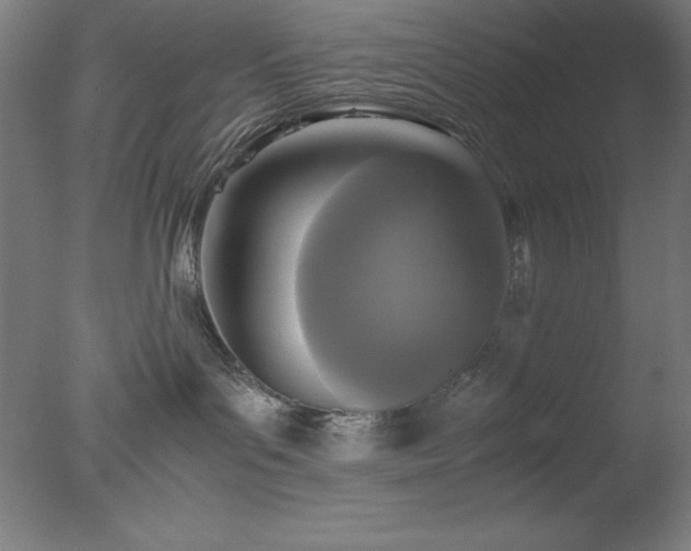 X0000077290143200610271534