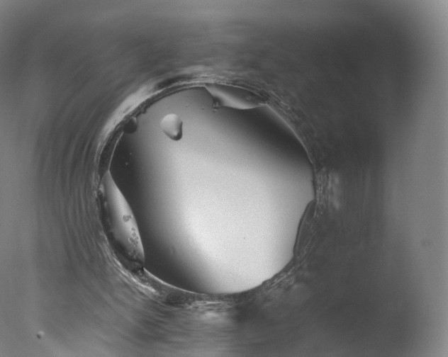 X0000077290150200610271533