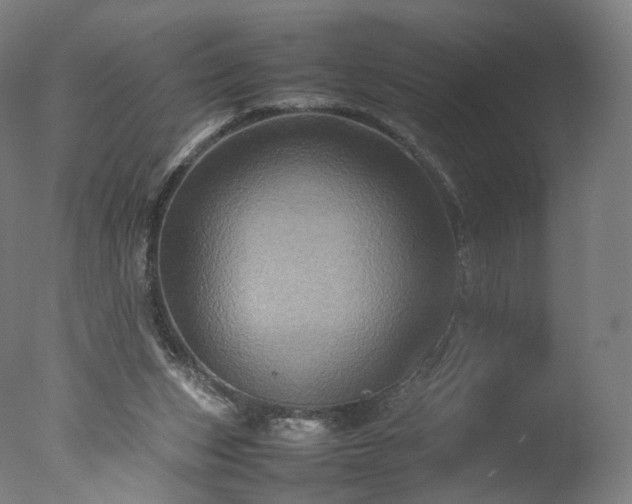 X0000077290159200610271533