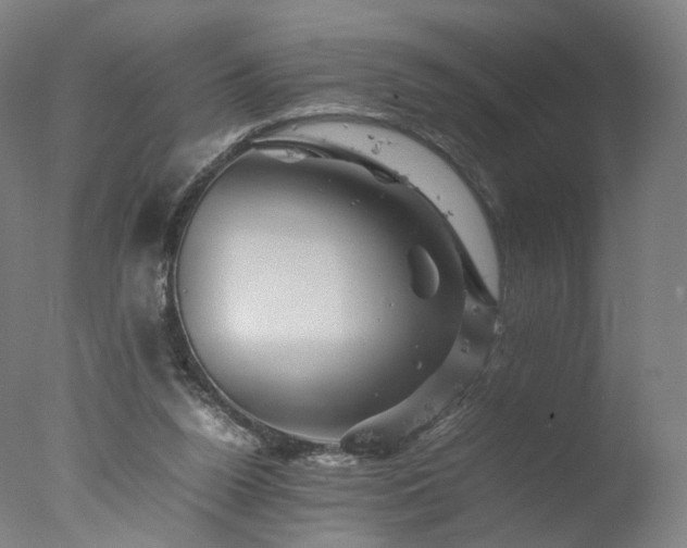 X0000077290160200610271533