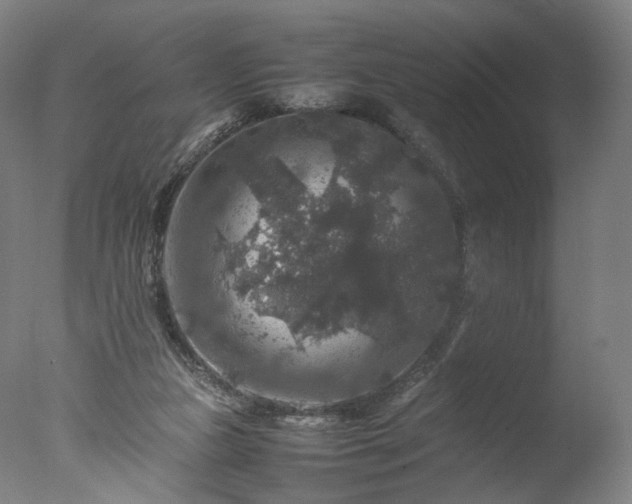 X0000077290161200610271533