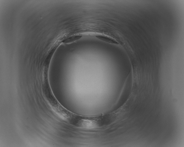 X0000077290167200610271533