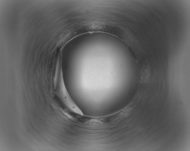X0000077290176200610271534