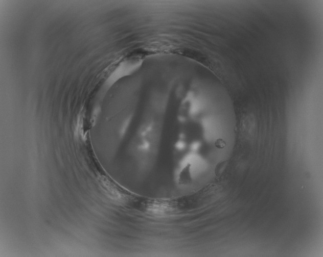 X0000077290177200610271534