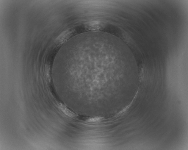 X0000077290178200610271534