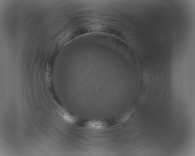 X0000077290181200610271534