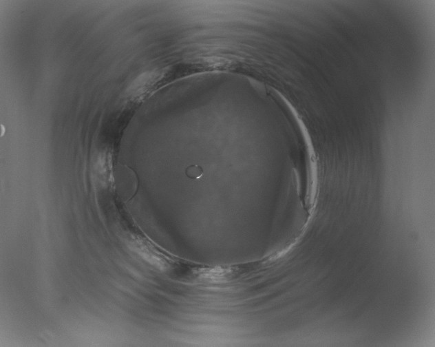 X0000077290182200610271534