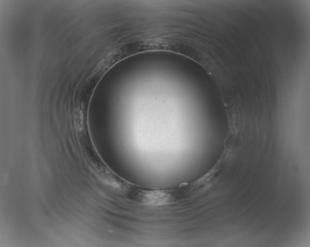 X0000077290183200610271534