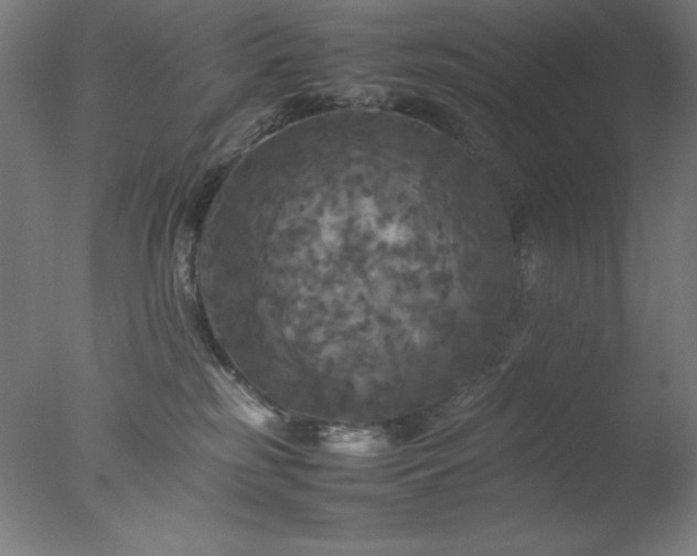 X0000077290185200610271534