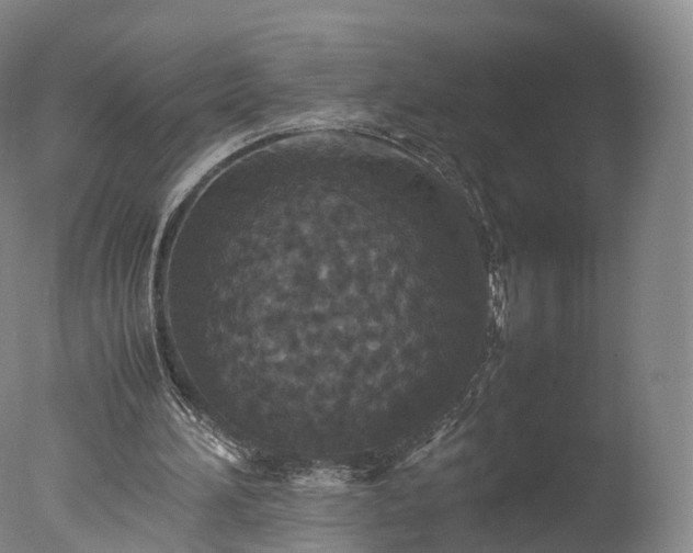 X0000077290196200610271533