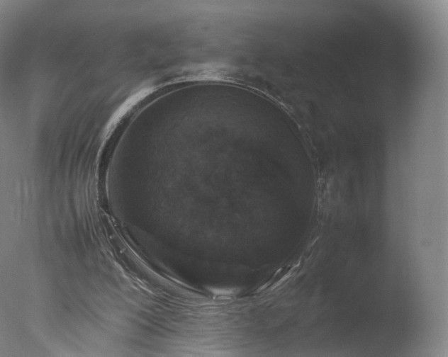 X0000077290200200610271533