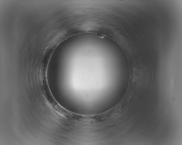 X0000077290210200610271533