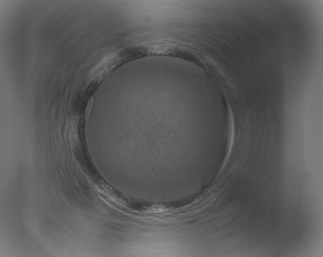X0000077290217200610271533