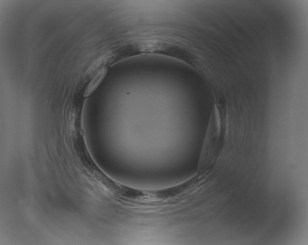 X0000077290219200610271533