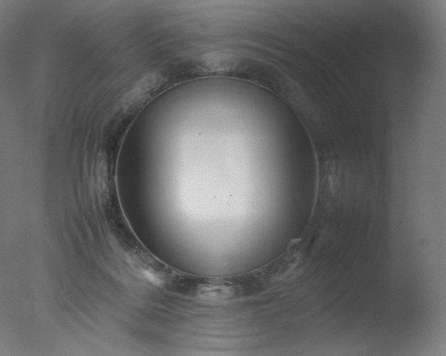 X0000077290220200610271533