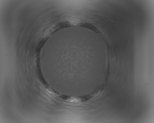 X0000077290221200610271533