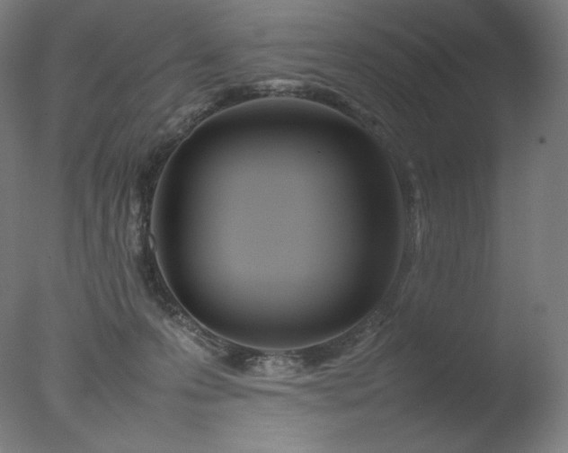 X0000077290223200610271533
