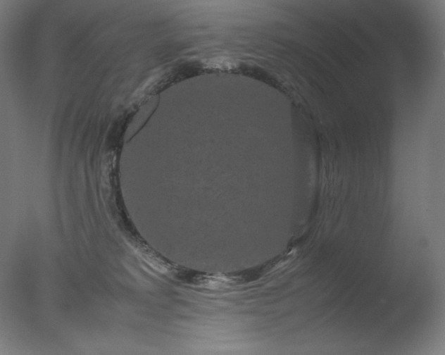 X0000077290229200610271532