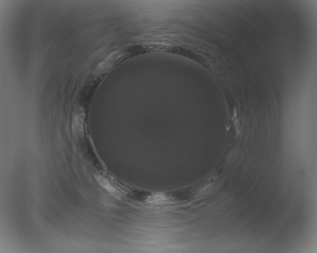 X0000077290231200610271532