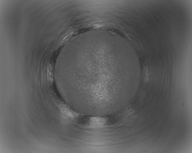 X0000077290234200610271532