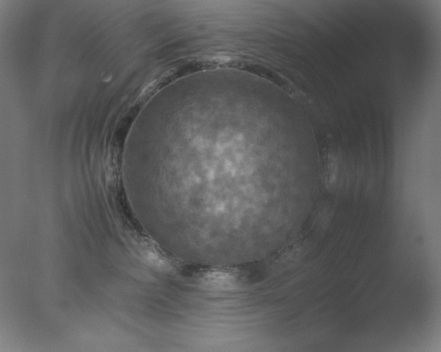 X0000077290236200610271532