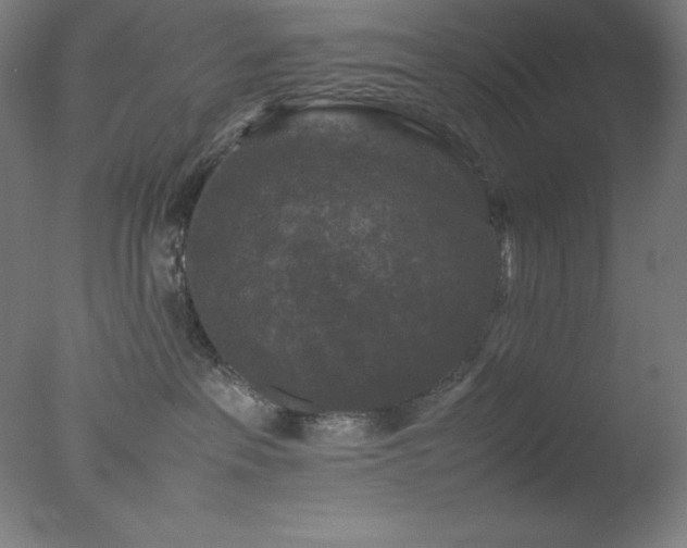 X0000077290237200610271532