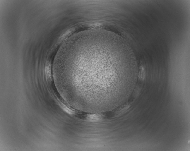 X0000077290238200610271532