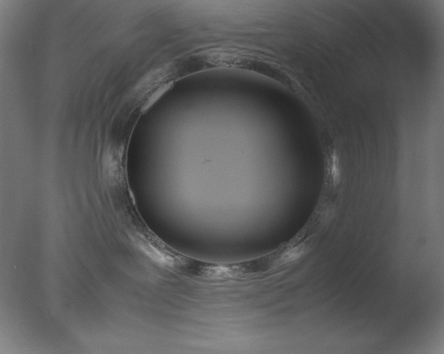 X0000077290239200610271532