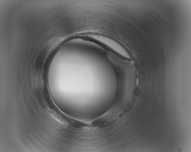 X0000077290252200610271532