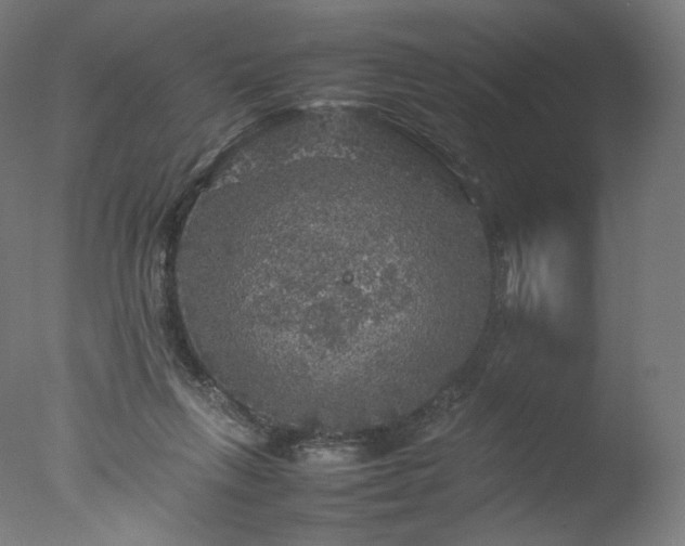 X0000077290263200610271532
