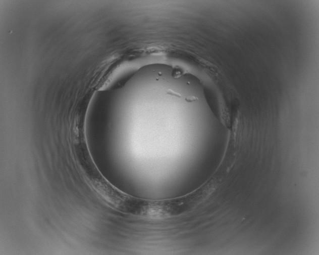 X0000077290264200610271532