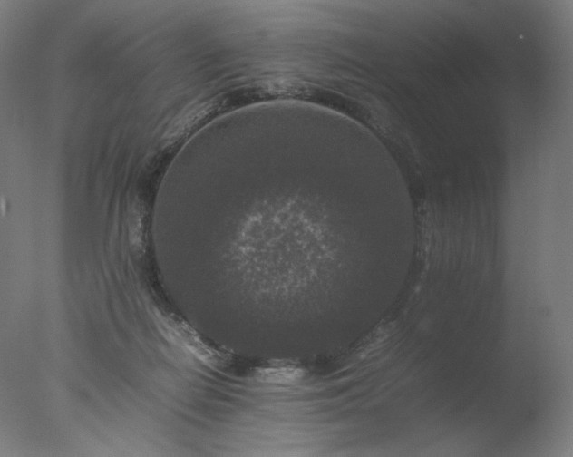 X0000077290266200610271532