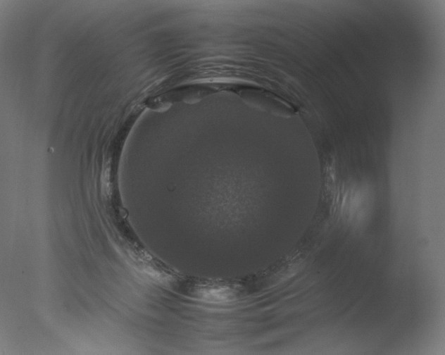 X0000077290267200610271532