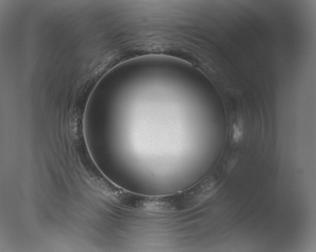 X0000077290268200610271532