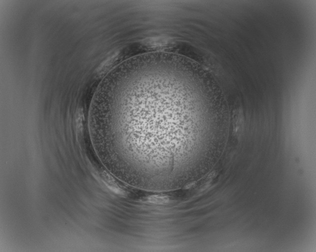 X0000077290279200610271532